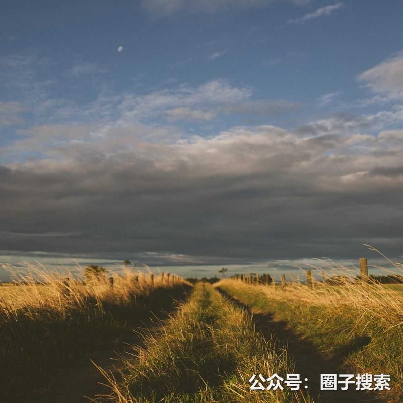 供应：【供应】仪器仪表长期现货供应，常用规格常…