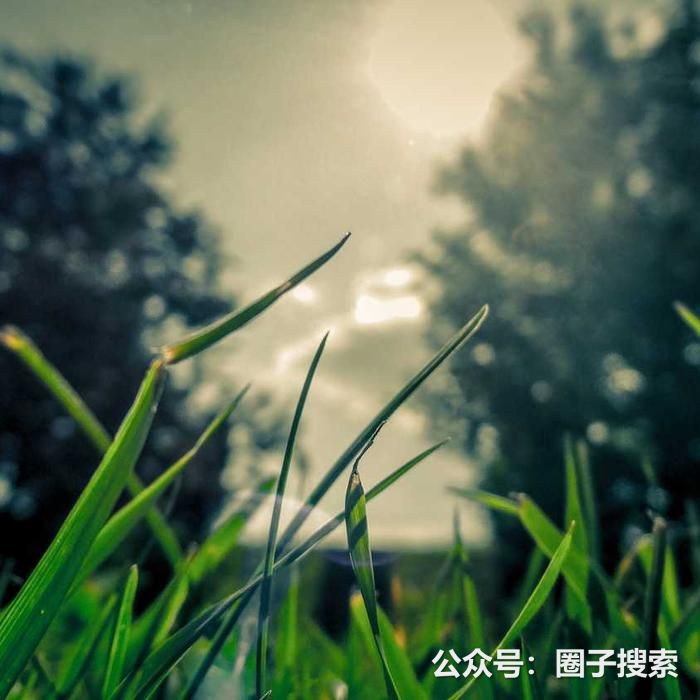 供应：【供应】果蔬采摘长期现货供应，尺寸、材质…