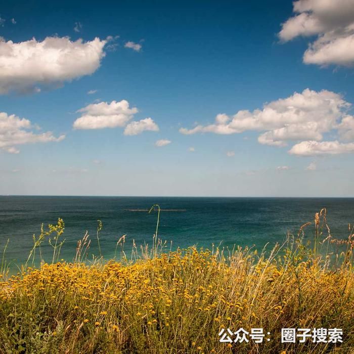 供应：【供应】语言培训长期现货供应，常用规格常…
