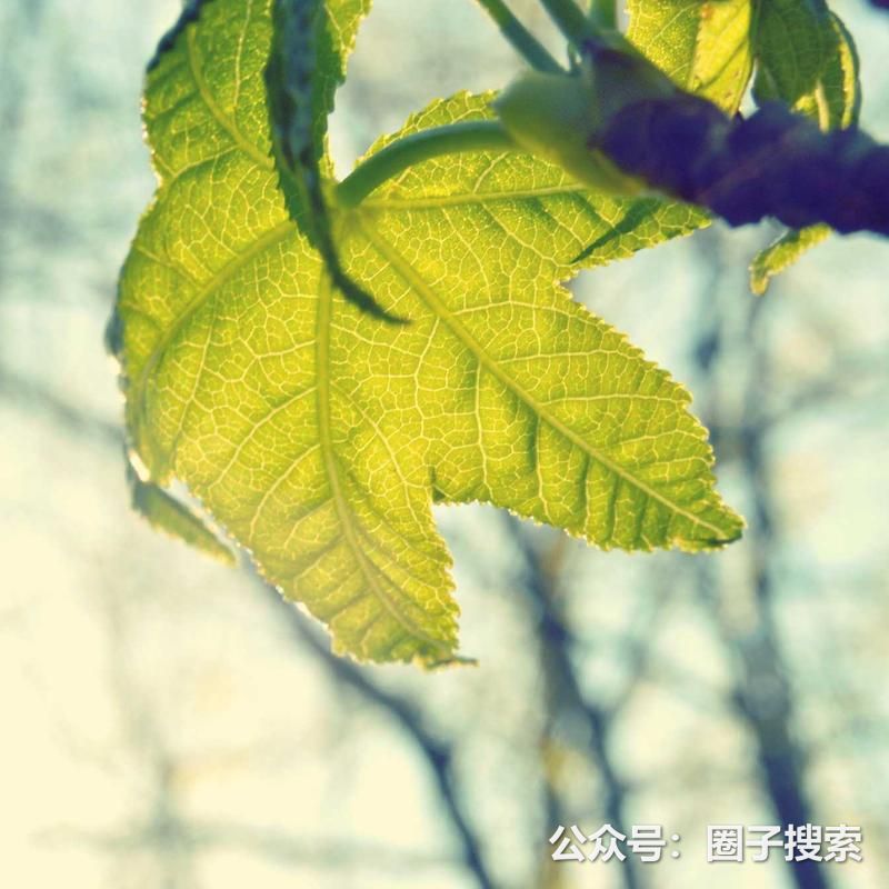 需求：【求购】长期采购语言培训，标准款现货充足…