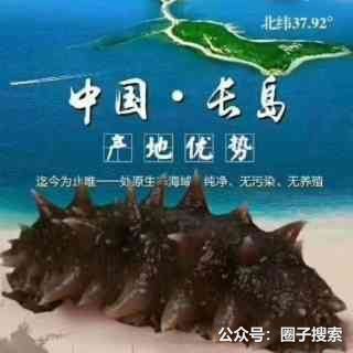 供应：长岛蓬莱海鲜特惠。海鲜甄选，海中珍品，滋…